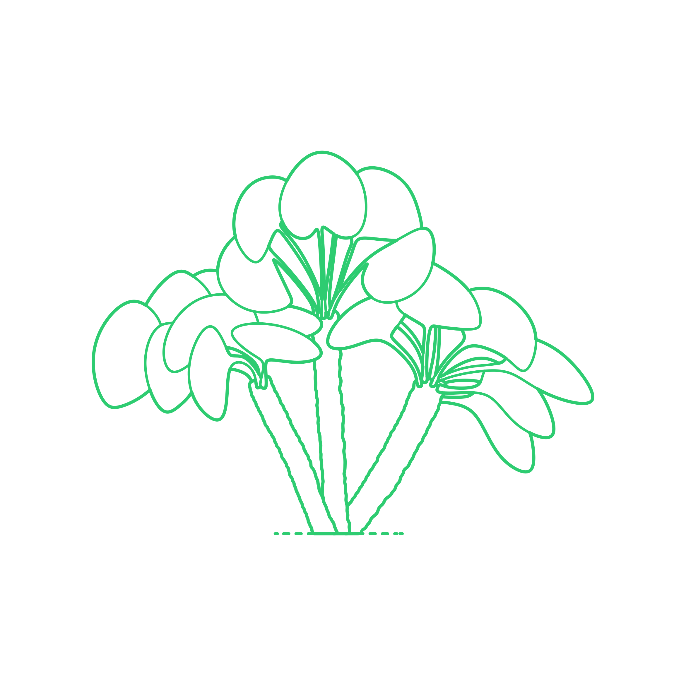 Plants Palms European Fan Palm Editable Svg Line Art Free Vectors